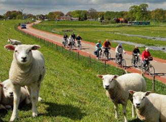 Bike Tours The Netherlands