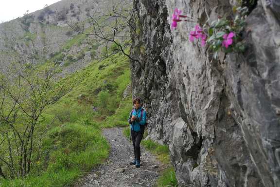 Las Xanas Gorge