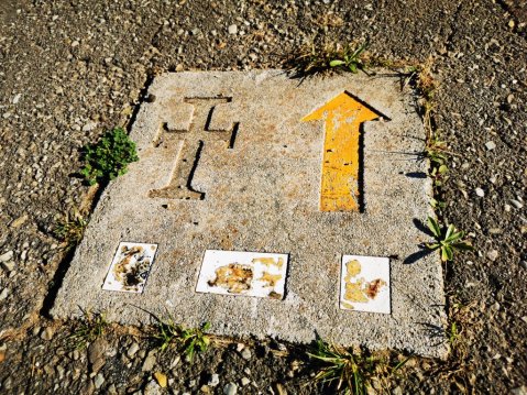 Camino Lebaniego sign