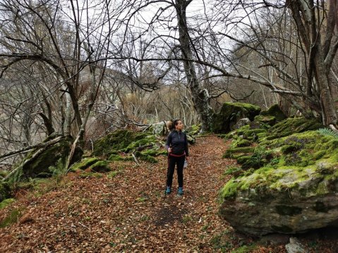 Pilgrim in Camino Lebaniego