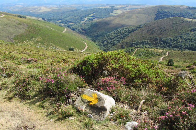 Yellow arrow Camino Primitivo