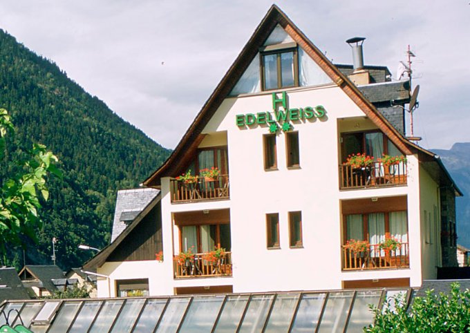 Hotel Edelweis (Arties)